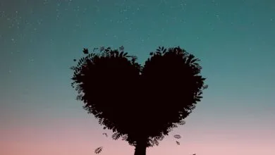 Jlyricz Afro Love (Vol.1) Valentine's gift