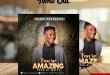 Download Peterson Okopi You’re Amazing Mp3