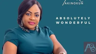 Absolutely Wonderful – Funke Akinokun