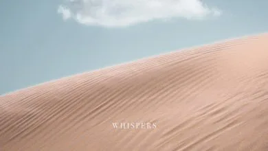elimsound_co_uk_sidebar_OP