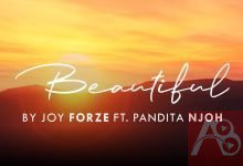 Joy Forze Beautiful