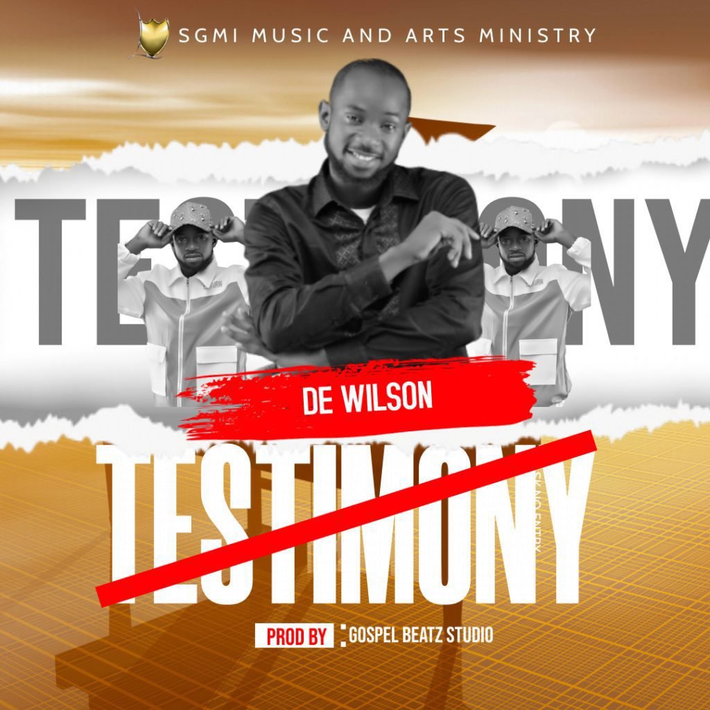 De Wilson Testimony