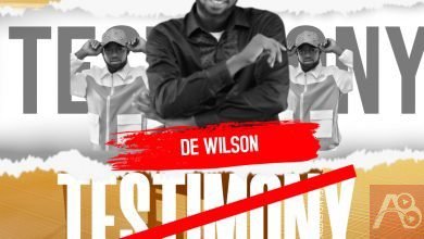 De Wilson Testimony