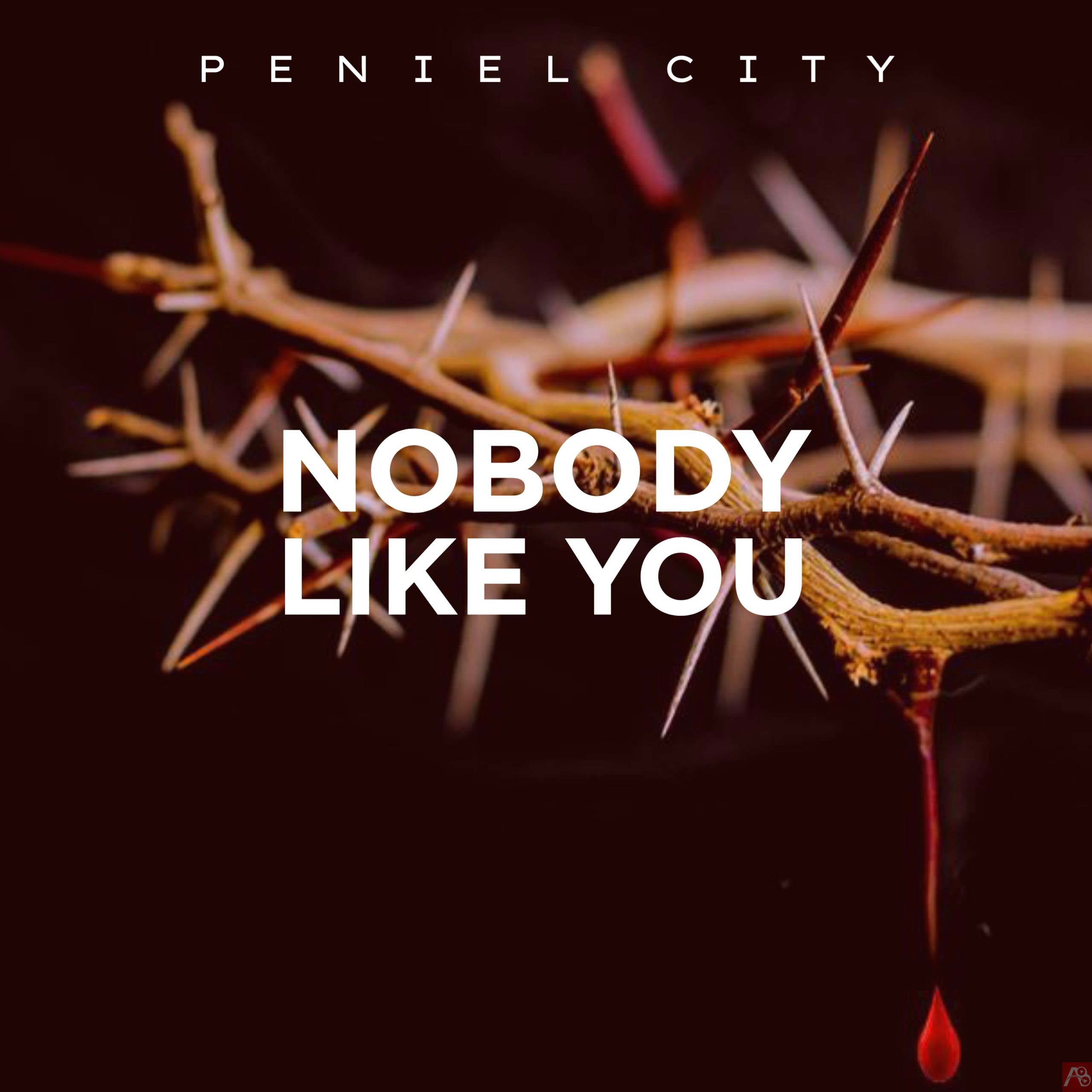 Peniel City Nobody like you
