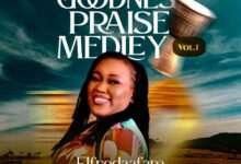 Goodness Praise Medley by Elfredaafam