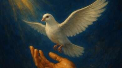 Grace by Toyin Ogunniyi